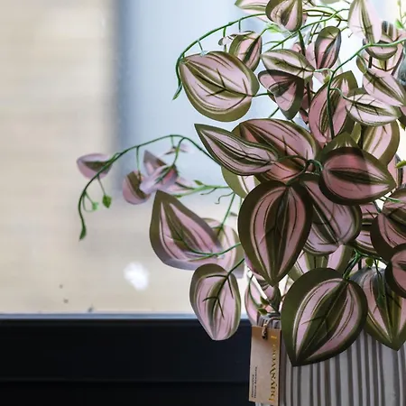 Beautiful 2 Bed With Balcony 公寓