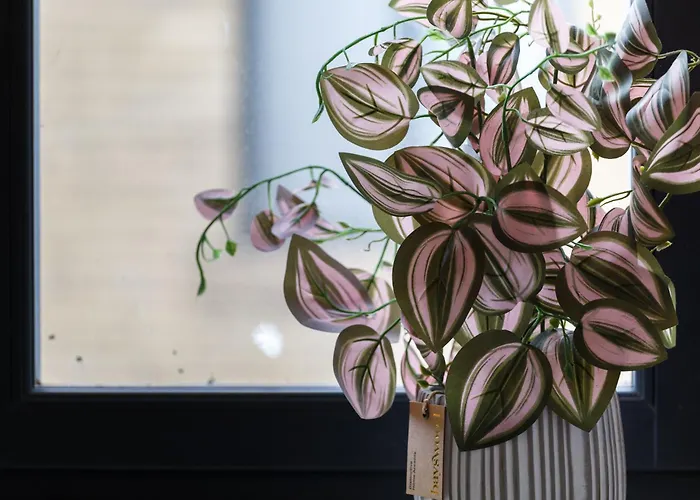 Beautiful 2 Bed With Balcony 公寓